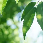 当カウンセリングルームの特徴