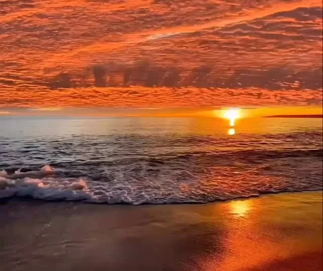 一宮駅前カウンセリング代表 心理カウンセラー マサ大坪の癒し...